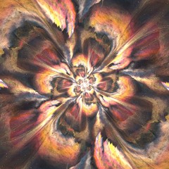 Doorway #5 : Across Full on for COSMOS THE GATHERING 2/5/24 @Floride