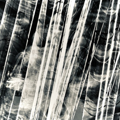 Particular