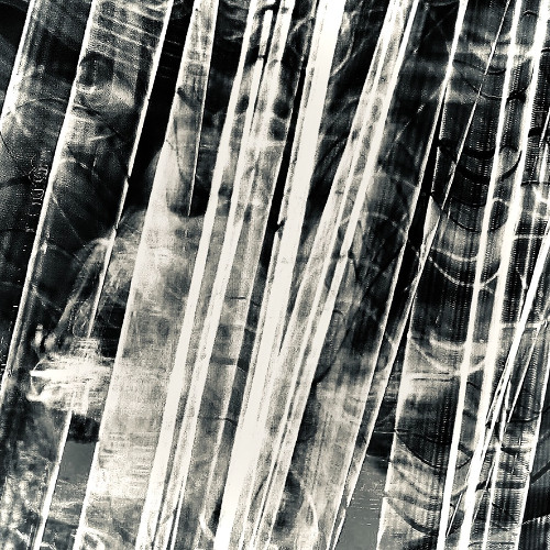 Particular