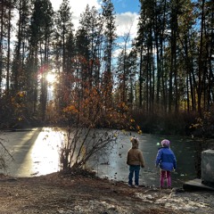 1200 Days 1200 Beats