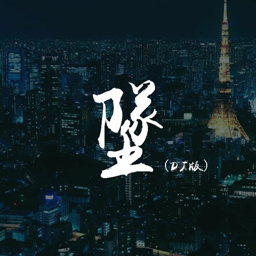 你的大表哥曲甲-坠（DJ版）【動態歌詞/pīn yīn gē cí】