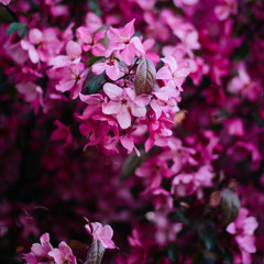 윤민수(YUN MIN SOO), 송가인(SONG GA IN), 치타(CHEETA) '님아 (MY LOVE)' The Call Full ver