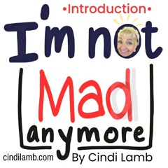 Introduction: I'm not mad anymore. A Memoir of Revenge, Passion, and Forgiveness