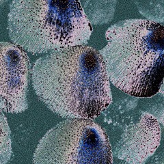 LULLABIES (Desolate remix)