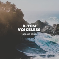 R-Tem - Voiceless (Brosso Remix V2)