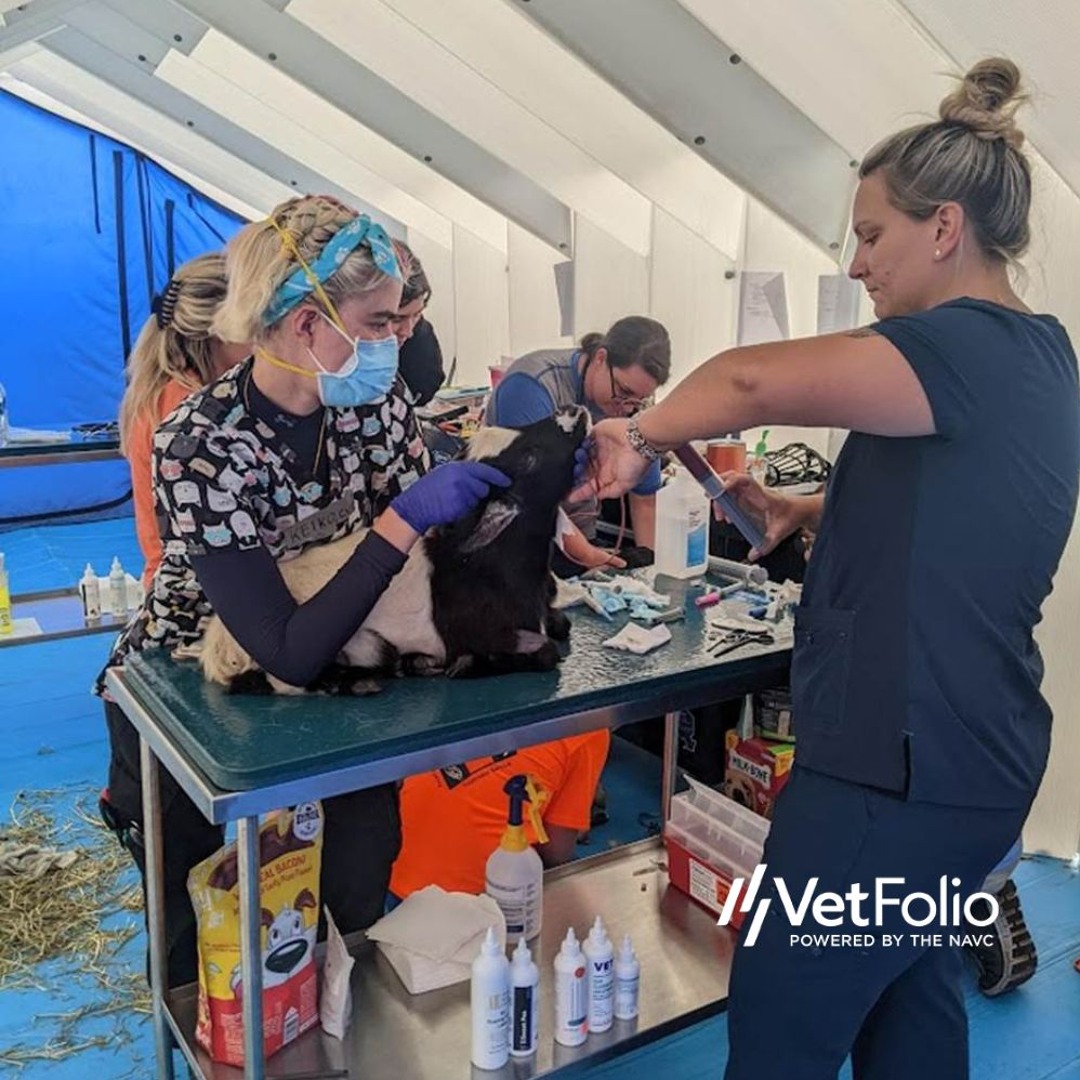 Unpacking the Sioux Falls 911 Call Log: A Deep Dive into Emergency Response