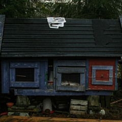 her igjen m/ aasland