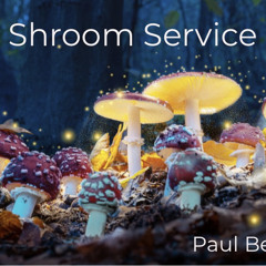 Paul Beno - Shroom Service