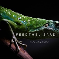 Feedthelizard - July Micro Mix