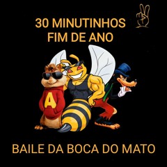 30 MINUTINHOS DE FIM DE ANO DO BAILE DA B.M [[ DJ LIPE + DEJOTAS DO LOBO MAU ]]