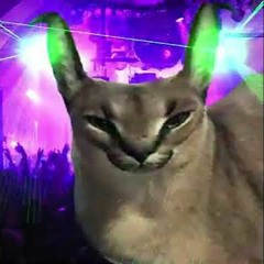 痛KosiaraXMisha.avi "rozmazaen dencf00r"