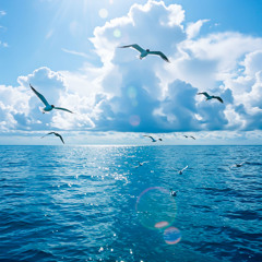 Colors Fly