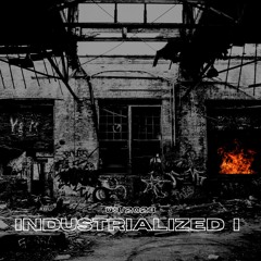INDUSTRIALIZED I