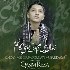 Zindan Mein Dum Tor Gaye Musa E Kazim(a.s) - Qasim Reza - Shahdat Imam Musa Kazim(a.s) Noha 2024