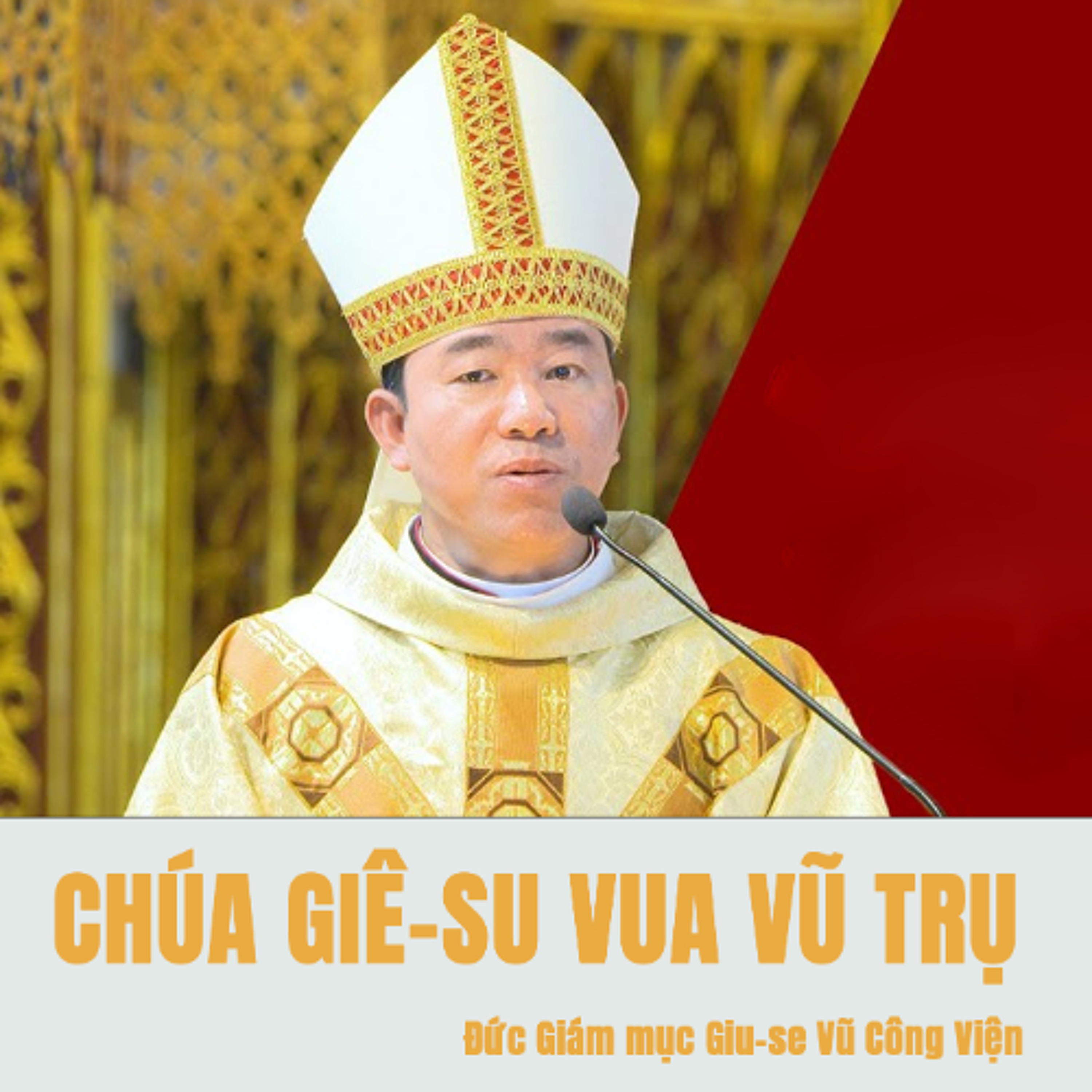 Bài giảng Chúa Giê-su Ki-tô Vua Vũ Trụ  Đức Giám mục Giu-se Vũ Công Viện