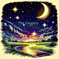 In The Night
