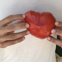 구미호