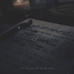 YOULL NEVER HEAR THIS