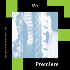 PREMIERE: Secret Witness - More 4 Us [Bienvenue Recordings]