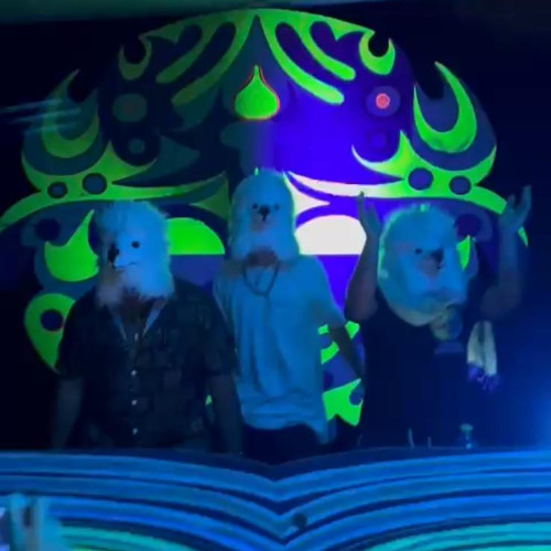 poodle set 11-12.7 (retorika vs kokus vs deepchy)