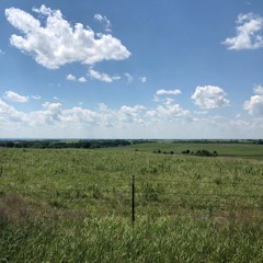 Suburban Misery Version 2