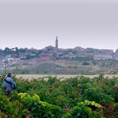 Rioja, Land of the Thousand Wines (2023) FuLLMovie Online® [615674 Views]