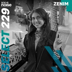 Select 229: Mixed by Zenim