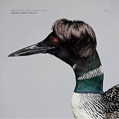 charlie parr - rocky raccoon feat nicholas mrozinski