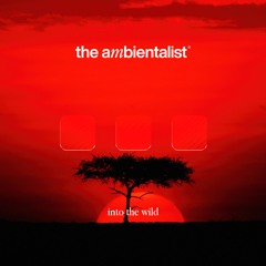 The Ambientalist - Into The Wild