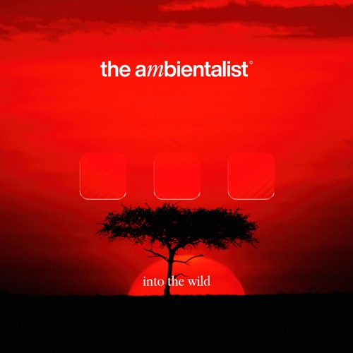 The Ambientalist - Into The Wild