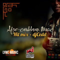 Afro-Caribbean Music 2023 🔥🔥🔥 |1H| - Hit mix - djCedd