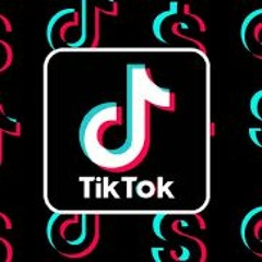 Who Let The Dogs Out (TikTok)