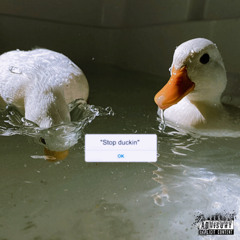 Duckin (ft.Murdaonpluto)