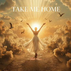 Take Me Home