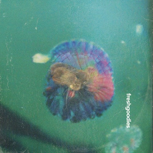 lov lofi - Pulcro