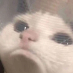 Silhouettes (Instrumental)