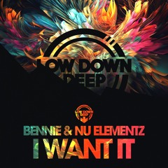 Bennie & Nu Elementz - I Want It [Premiere]