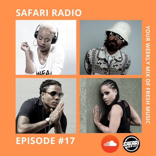 Stream SAFARI RADIO EPISODE #17 by safarisound | Listen online for free on  SoundCloud