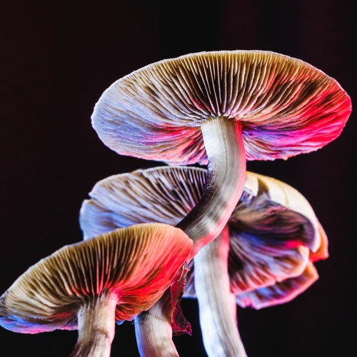 What Makes Psychedelic (148 bpm)