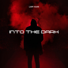 Into The Dark (Radio Edit)