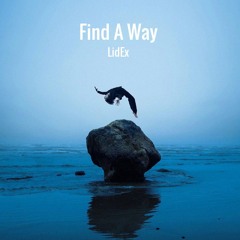 LidEx - Find A Way