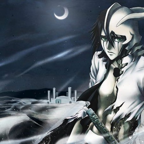 Bleach Anime Photo: Bleach Hueco Mundo