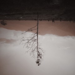 A Discoloration