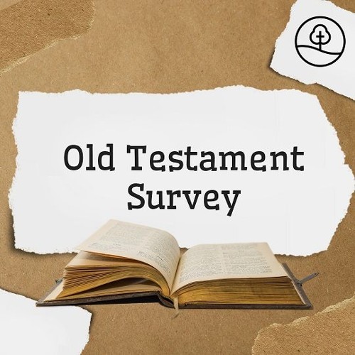 OT Survey: Numbers