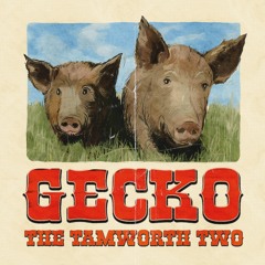 Gecko -The Tamworth Two