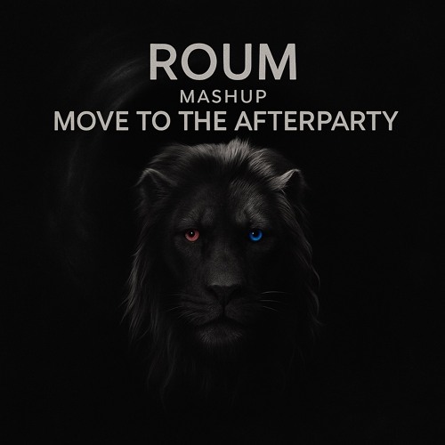Move To The Afterparty (Roum Mashup)