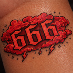 Mirrored Reflections