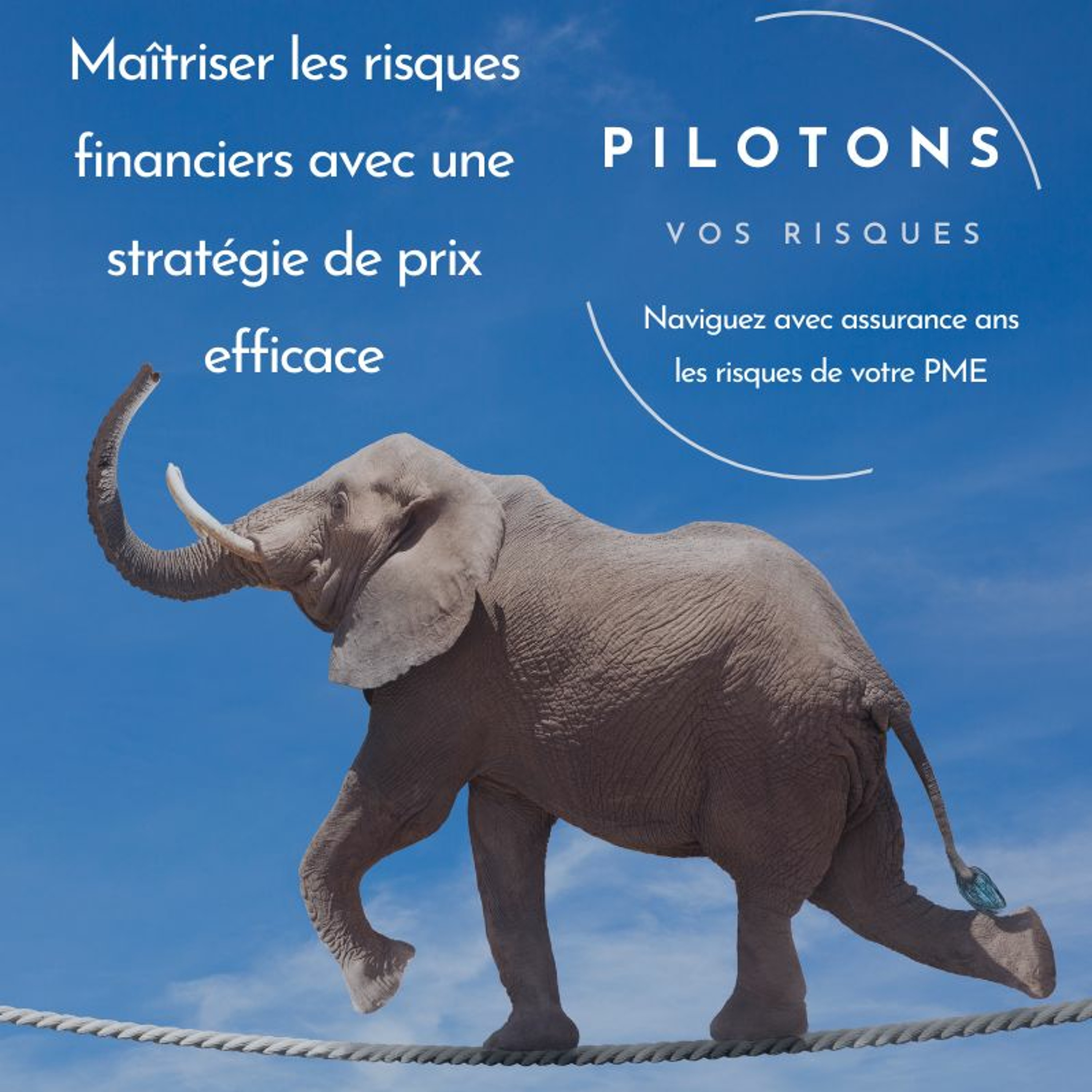 Maîtriser les risques financiers avec une stratégie de prix efficace