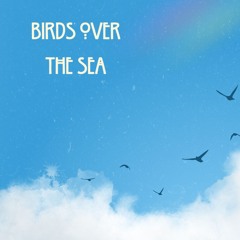 Birds Over The Sea