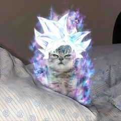 Loser (vijt. ft Uchihabbi)